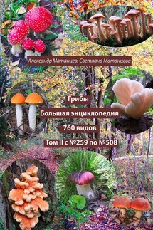 Грибы. Большая энциклопедия. 760 видов. Том II с №259 по №508 - Александр Матанцев, Светлана Матанцева