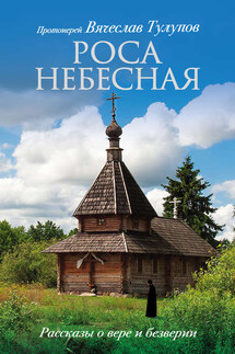 Роса небесная. Рассказы о вере и безверии - Вячеслав Тулупов