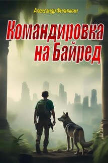 Командировка на Байред - Александр Филичкин