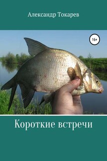 Короткие встречи - Александр Токарев