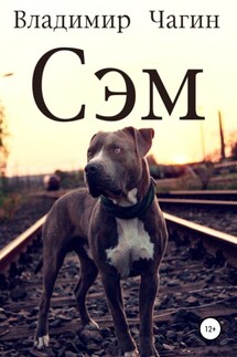 Сэм - Владимир Чагин