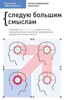 Год личной эффективности. Cледую большим смыслам. Экзистенциальный интеллект - Сборник, М. С. Иванов