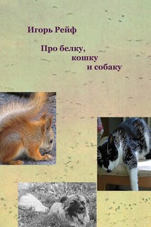 Про белку, кошку и собаку - Игорь Рейф