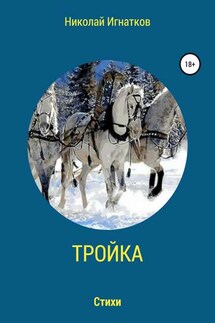 Тройка. Книга стихотворений - Николай Игнатков