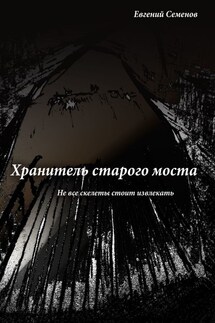 Хранитель старого моста. Не все скелеты стоит извлекать - Евгений Семенов