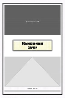 Обыкновенный случай - Борис Совин