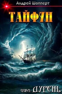 Дурень. Книга шестая. Тайфун - Андрей Шопперт