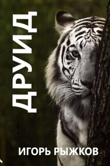 Друид - Игорь Рыжков
