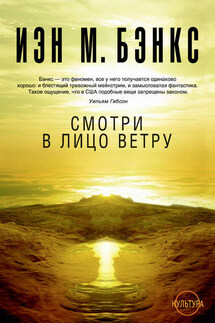 Смотри в лицо ветру - Иэн Бэнкс