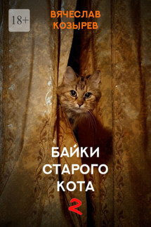 Байки старого кота – 2 - Вячеслав Козырев