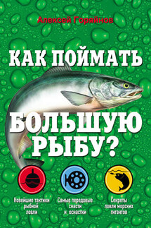 Как поймать большую рыбу? - Алексей Горяйнов