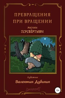 Превращения при вращении - Валентин Дубинин