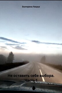 Не оставить себе выбора. Часть 1 - Екатерина Лакруа