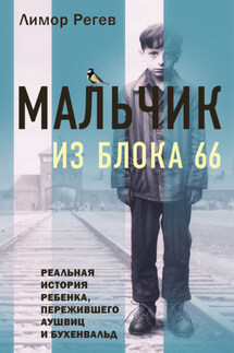 Мальчик из Блока 66. Реальная история ребенка, пережившего Аушвиц и Бухенвальд - Лимор Регев