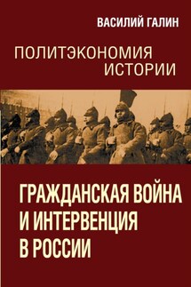 Гражданская война и интервенция в России. Политэкономия истории - Василий Галин