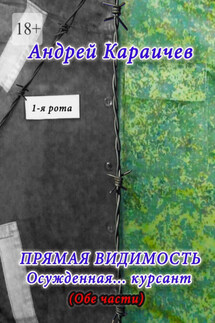 Прямая видимость. Осужденная… курсант - Андрей Караичев
