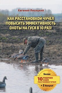 Как расстановкой чучел повысить эффективность охоты на гуся в 10 раз! - Евгений Лисицкий