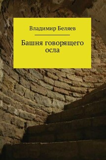 Башня говорящего осла - Владимир Беляев