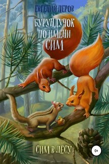 Бурундучок по имени Сим. Сим в лесу - Евгений Перов