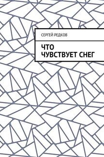 Что чувствует снег - Сергей Редков