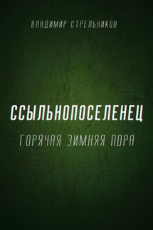 Ссыльнопоселенец. Горячая зимняя пора - Владимир Стрельников