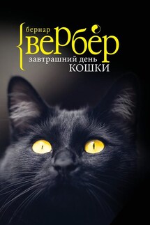 Завтрашний день кошки - Бернар Вербер