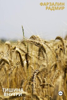 Тишина внутри - Фарзалин Радмир