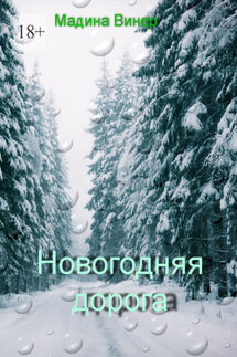 Новогодняя дорога - Мадина Винер