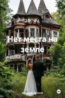 Нет места на земле - Александр Петляков