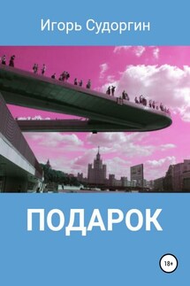 Подарок - Игорь Судоргин