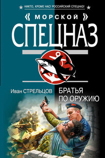 Братья по оружию - Иван Стрельцов