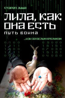 Лила, как она есть. Путь воина - Старая Душа