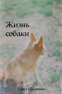 Жизнь собаки - Павел Шалавкин