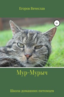 Мур-Мурыч. Школа домашних питомцев - Вячеслав Егоров