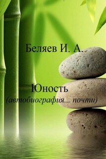 Юность. Автобиография… почти. Книга третья. Цикл «Додекаэдр. Серебряный аддон» - Илья Беляев