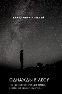 Однажды в лесу. Там где начинается одна история, непременно начинается другая… - Алексей Кандрушин