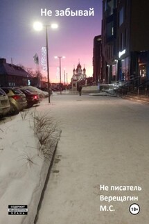 Не забывай - Максим Верещагин