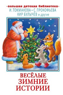 Весёлые зимние истории - Ирина Алексеевна Антонова, Ирина Вадимовна Зартайская