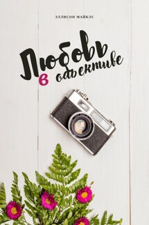 Любовь в объективе - Эллисон Майклс