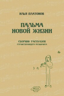 Пальма новой жизни. Сборник рассказов странствующего музыканта - Илья Платонов