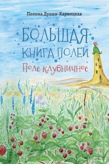 Большая книга полей. Поле клубничное - Полина Дунин-Карвицкая