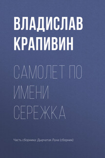 Самолет по имени Сережка - Владислав Крапивин