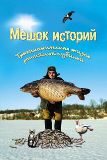 Мешок историй (сборник) - Александр Росков