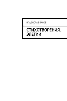Стихотворения. Элегии - Владислав Басов