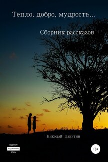 Тепло, добро, мудрость… Сборник рассказов - Николай Лакутин