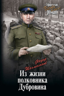 Из жизни полковника Дубровина - Николай Шахмагонов
