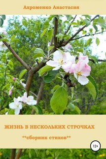 Жизнь в нескольких строчках - Анастасия Ахроменко