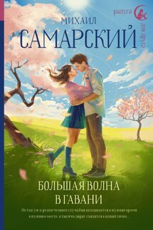 Большая волна в гавани - Литагент АСТ, Михаил Самарский