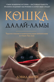 Кошка Далай-Ламы. Чудесное спасение и удивительная судьба уличной кошки из трущоб Нью-Дели - Дэвид Мичи