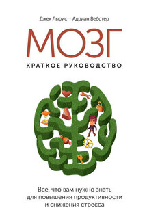 Мозг: краткое руководство. Все, что вам нужно знать для повышения эффективности и снижения стресса - Адриан Вебстер, Джек Льюис